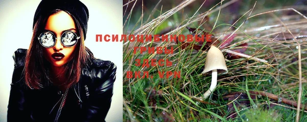 винт Пестово