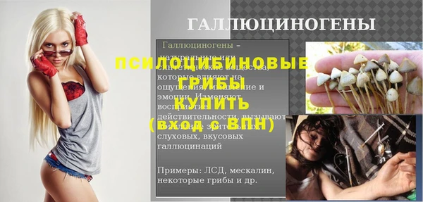 соль ск Балахна