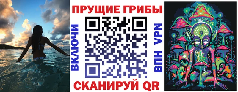 купить наркотик Могоча Псилоцибиновые грибы мицелий